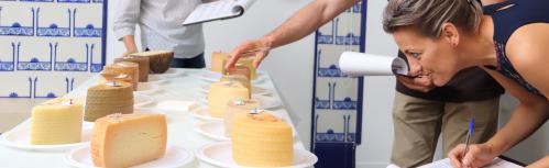 Jurado del concurso de calidad de quesos manchegos