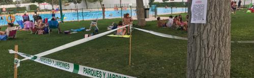 Plaga de galeruca en la piscina municipal