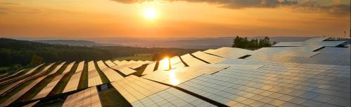 Imagen de una de las plantas fotovoltaicas de Repsol (Fuente: repsol.com)