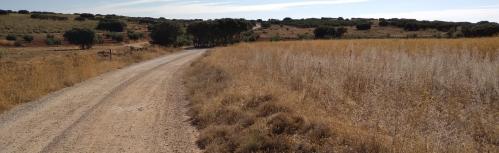 Juventud comparte el track de la ruta cicloturista suspendida por las medidas de prevención de la COVID-19