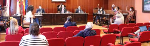 Pleno septiembre 2020