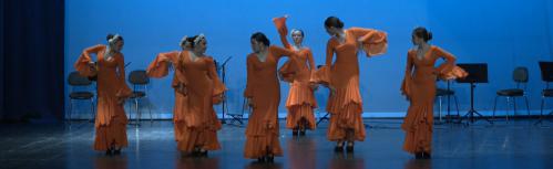 Actuación de uno de los grupos de danza flamenca