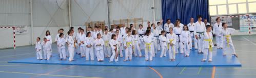 Clausura escuelas deportivas judo 2032-24