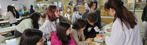 Actividad en uno de los laboratorios de ciencias