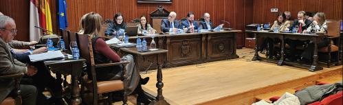 Momento del pleno ordinario de enero de 2025