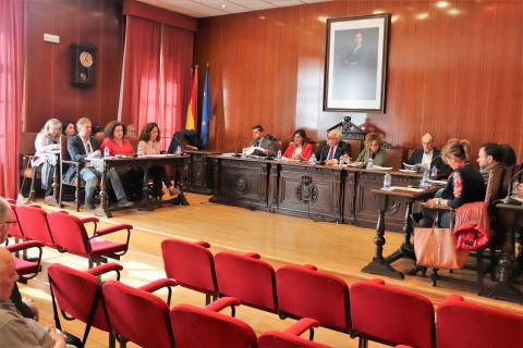Pleno ordinario de marzo de 2019