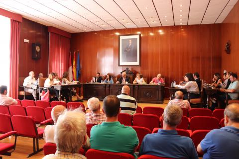 Pleno junio 2019