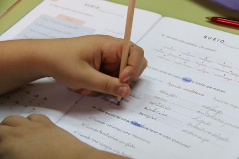 Niños y niñas estudiando en verano