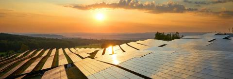 Imagen de una de las plantas fotovoltaicas de Repsol (Fuente: repsol.com)