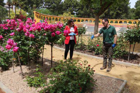 Isabel Díaz-Benito con Manuel Muñoz en la rosaleda del parque