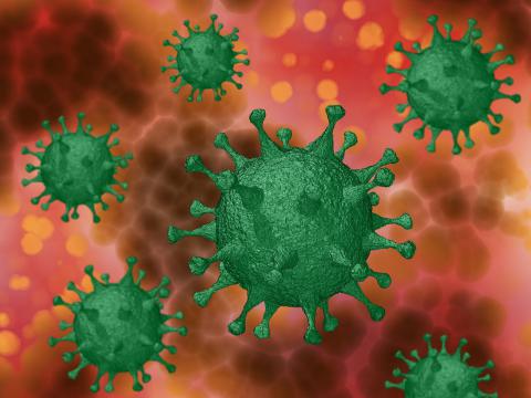 Imagen del coronavirus causante de la COVID-19