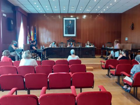 Momento de la sesión ordinaria del Consejo de Cooperación