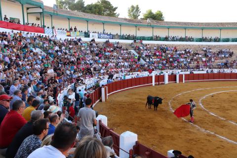 Toros en Manzanares