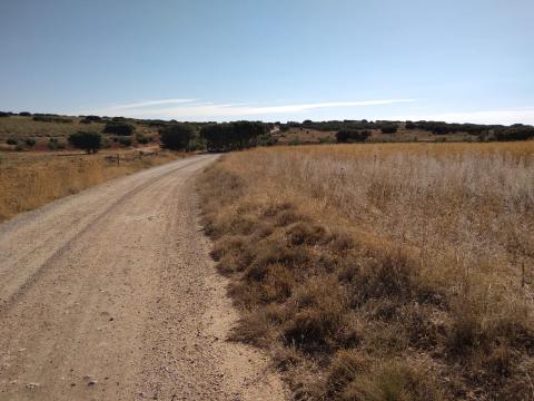 Juventud comparte el track de la ruta cicloturista suspendida por las medidas de prevención de la COVID-19