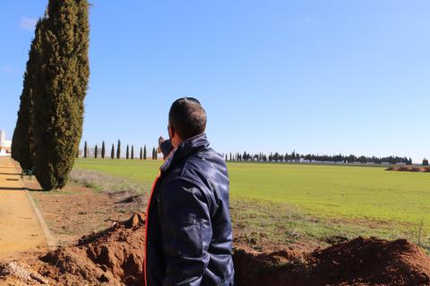 Replantación de cipreses para regenerar las zonas verdes