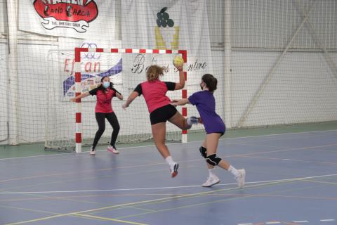 I Handball Academy