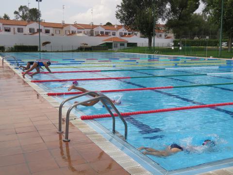 Competición del torneo local de natación