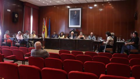 Pleno (julio 2022)