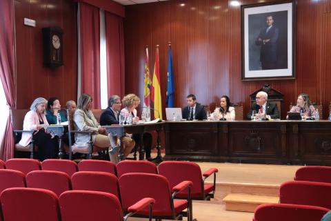 Momento del pleno de octubre
