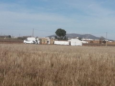 Finca donde se desarrollan las investigaciones en Valdepeñas. Foto: Julián Gómez Campos