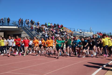 Olimpiadas Escolares 2023