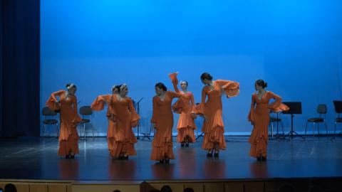 Actuación de uno de los grupos de danza flamenca