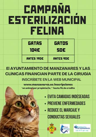 Campaña de esterilización felina