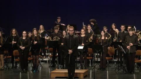 Imagen de archivo. Banda juvenil de formación
