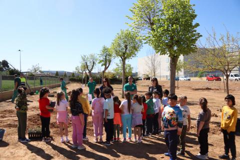 Día del árbol 2025