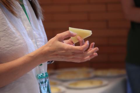 Cata de queso manchego (Fercam 2024)