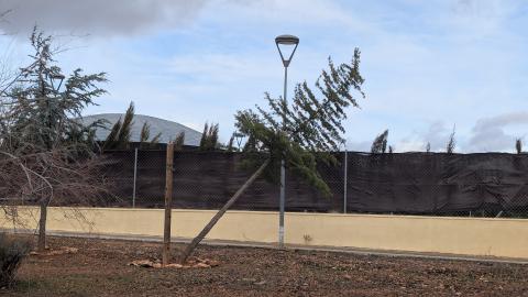 Rachas de viento en Manzanares