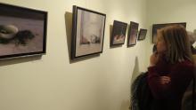 Inauguración de la exposición ‘Naturalezas muertas’
