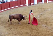 Gran corrida de toros en Manzanares