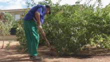 Treinta y tres personas “vuelven a sentirse útiles” en el trabajo con el programa Garantía+55