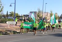 Llegada de la marcha a Manzanares