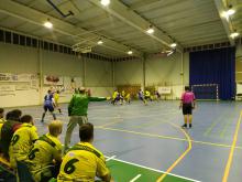 Balonmano Manzanares