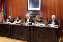Pleno enero 2020