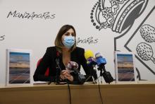 Presentación del plan estratégico 'Manzanares, ciudad de las energías renovables'