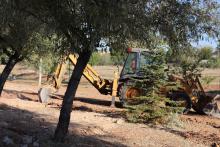 Obras del nuevo parque canino