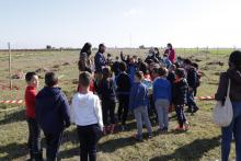 Día del Árbol 2022 en la Vereda de Siles