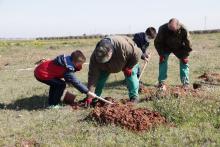 Día del Árbol 2022 en la Vereda de Siles