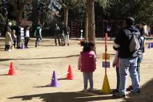 Taller macetohuertos