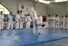 Exhibición de Judo y Jiu Jitsu