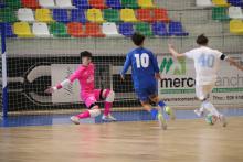 Talleres Arroyo Manzanares FS-Inter Movistar FS