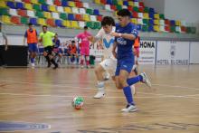 Talleres Arroyo Manzanares FS-Inter Movistar FS