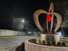 Inauguración del monumento en honor a los donantes de sangre