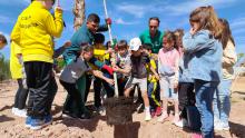 Día del Árbol 2024