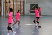 IV Handball Academy