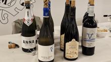 Cata de vinos 
