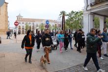 Marcha solidaria Siempre Adelante (noviembre 2025)